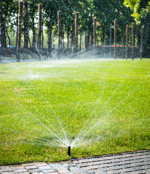 Irrigation Services