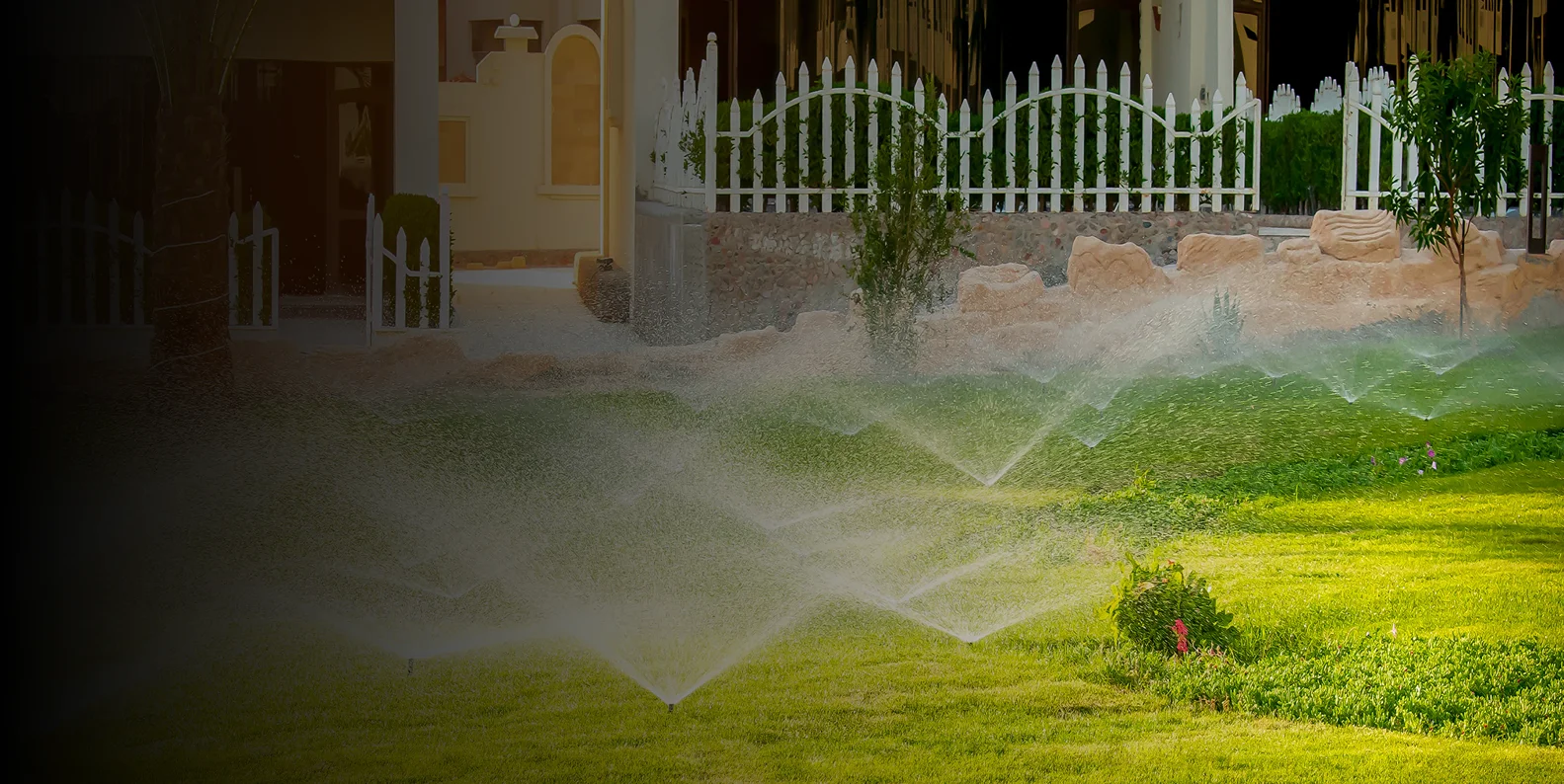 Ocotillo Irrigation Hero 2