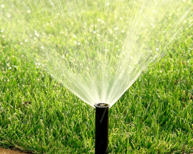 Ocotillo Irrigation b