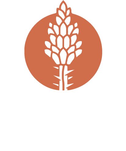 ocotillo irrigation stacked white