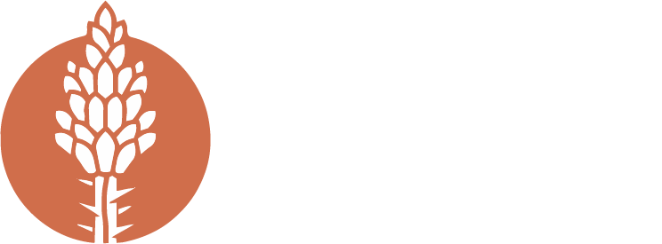 ocotillo irrigation white